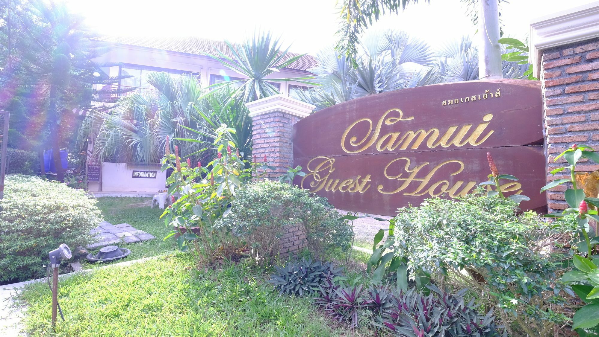 Samui Guest House Plage de Lamai Extérieur photo