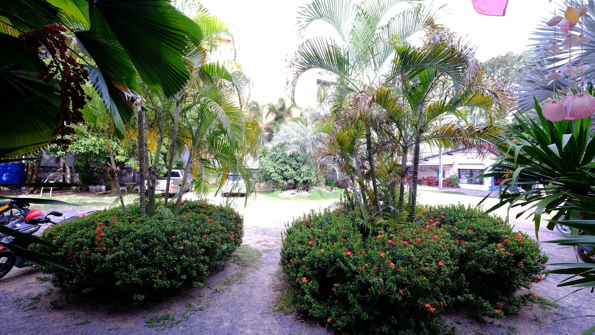 Samui Guest House Plage de Lamai Extérieur photo